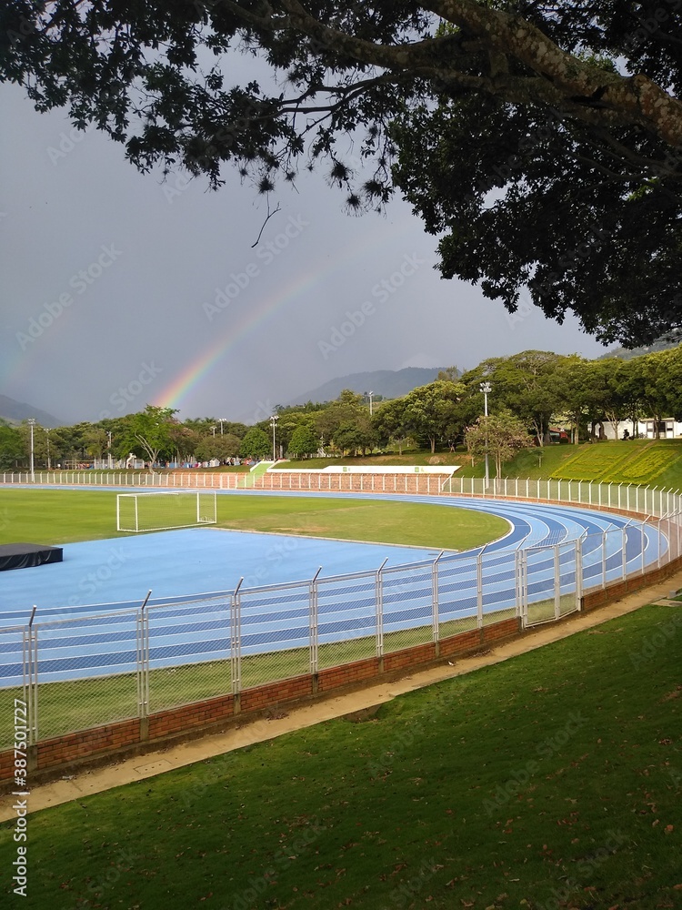 Fototapeta premium park in the park