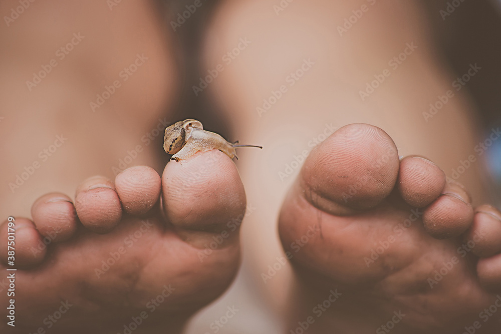 Obraz premium snail on toes
