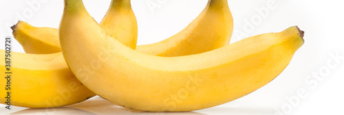 Food banner concept, organic fruits and ingredients: close up of organic bananas