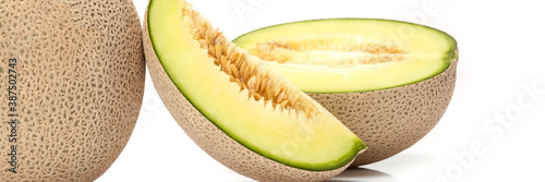 Food banner concept, organic fruits and ingredients: close up of organic Japanese green melons