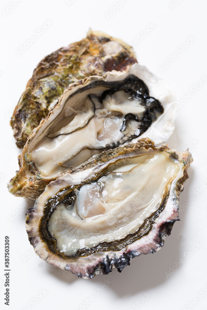 生牡蠣 生牡蠣