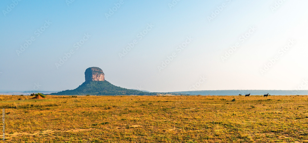 Obraz premium Two blesbok or blesbuck (Damaliscus pygargus phillipsi) antelope walking through the African Savannah with a butte geological formation, Entabeni Safari Reserve, Limpopo Province, South Africa.
