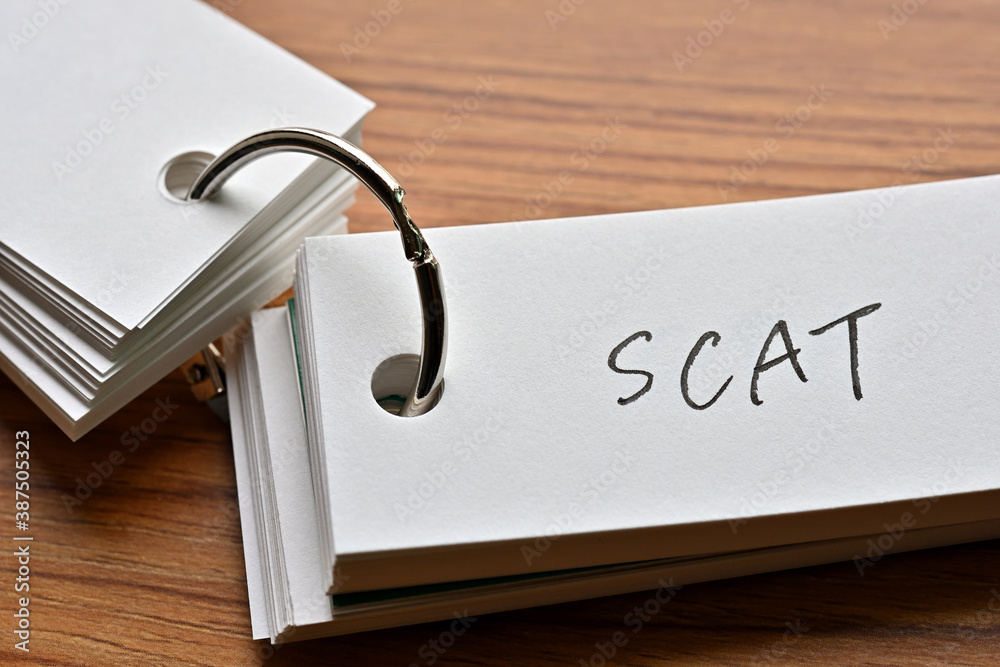 The words "SCAT" written in a word book. Closeup. It is an acronym for