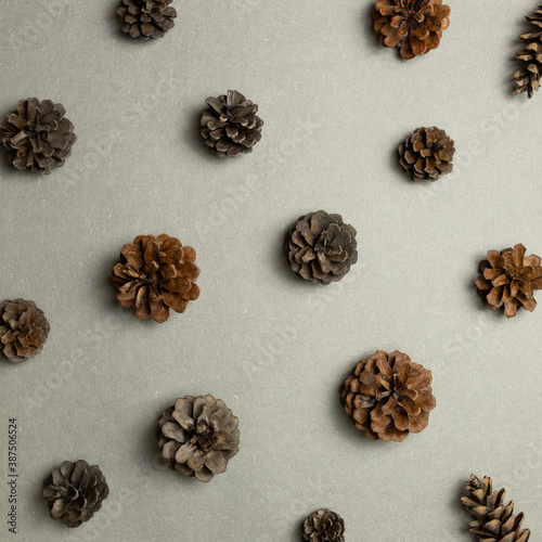 Dry pine cones pattern background. flat lay, top view