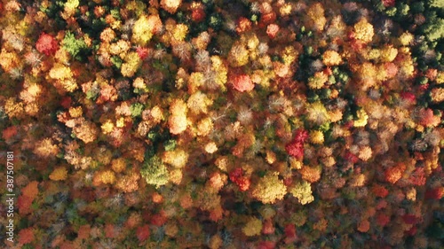 Aerial flythrough of Mountain Forests in Autumn with Fall Colors in New England