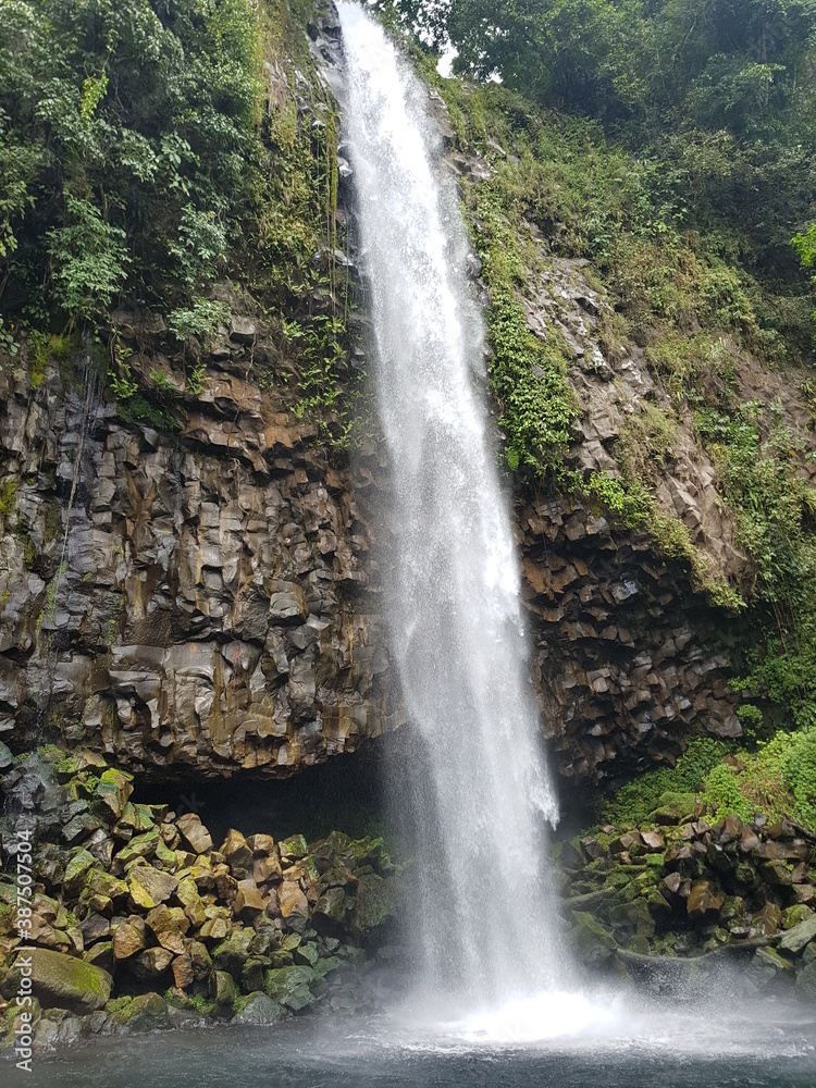 Obraz premium waterfall in the forest