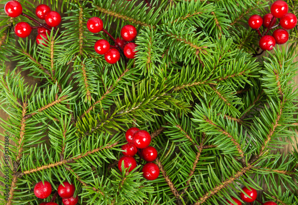 natural background of fir twigs. Festive background, banner with natural materials natural background of fir twigs. Festive background, banner with natural materials