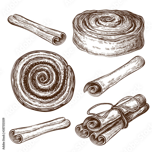 hand drawn sweet cinnamon buns or rolls with cinnamon sticks collection isolated. Vector pastry sketch set. vintage illustration of sweet dessert. engraved cannella, poppy or cocoa snail, tasty swirls