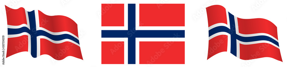 norway flag in static position and in motion, developing in wind in exact colors and sizes, on white background - obrazy, fototapety, plakaty 