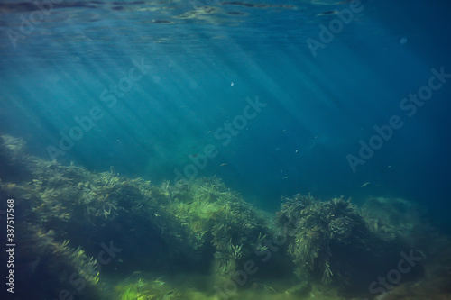 coral reef underwater landscape, lagoon in the warm sea, view under water ecosystem © kichigin19