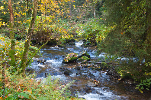 Saut des Xuves bei Xonrupt Longemer in den Vogesen photo