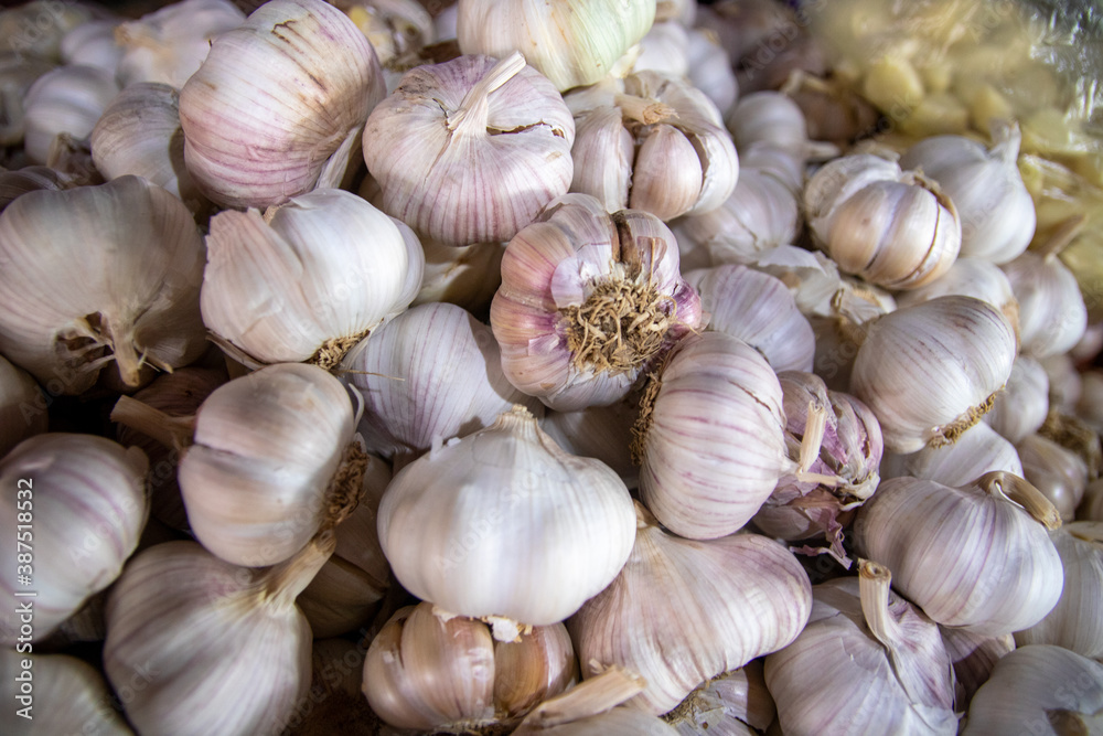 people working Vietnam, food, fishing, market
