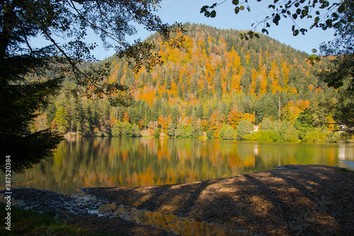 Fototapeta Naklejka Na Ścianę i Meble -  Lac de Retournemer in den Vogesen im Herbst