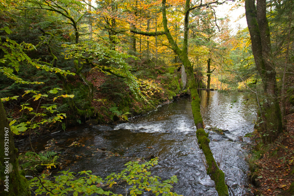 Lac de Retournemer in den Vogesen im Herbst