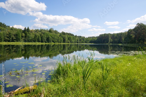 Nature of Seliger. Lake Dokhlets in the Tver region on a Sunny summer day  Russia