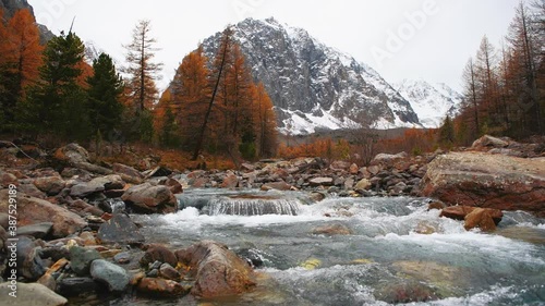 Autumn landscape of Aktru gorge and river in Altai mountains, Siberia, Russia. View of Karatash mount and autumn forest. River with flowing water. 4k photo