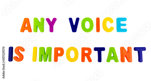 Text ANY VOICE IS IMPORTANT on a white background