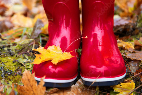 legs with autumn yellow leaves in rubber boots in wet weather