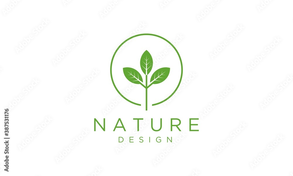 Simple logo of natural vector templates