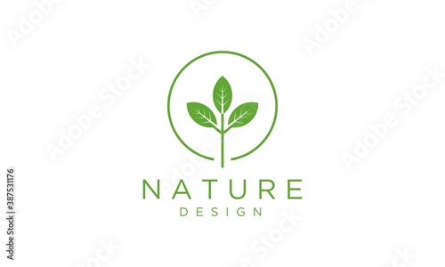 Simple logo of natural vector templates