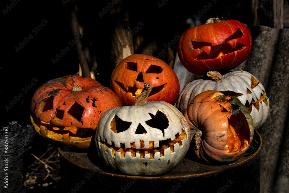 Halloween. Jack's face pumpkins in the afternoon Halloween. Jack's face pumpkins in the afternoon