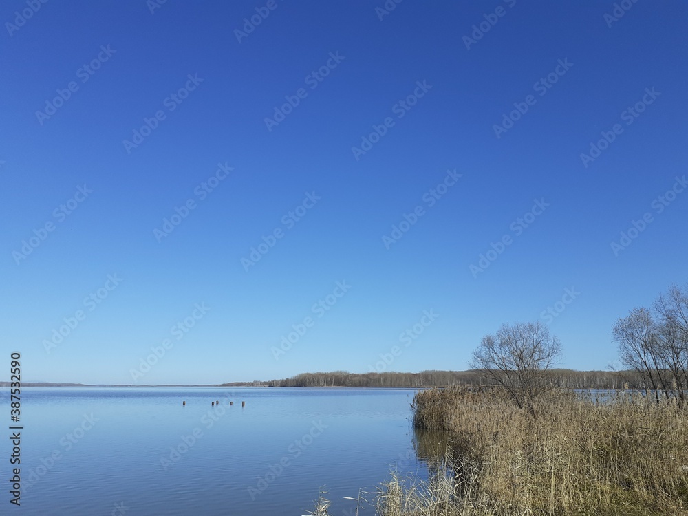 Autumn water landscape with reeds, lake and blue sky.