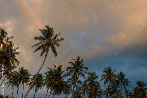 Palm trees on a tropical island under a dramatic cloudy sky.