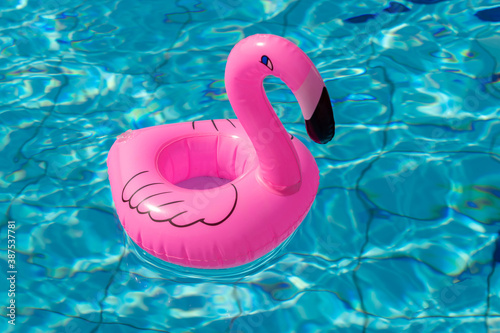 Beach flamingo. Pink inflatable flamingo in pool water for summer beach background. Trendy summer concept. © Maksym