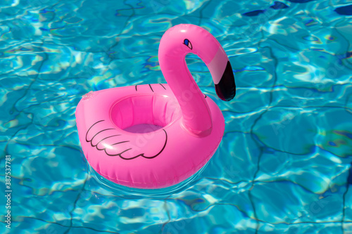 Beach flamingo. Pink inflatable flamingo in pool water for summer beach background. Trendy summer concept.