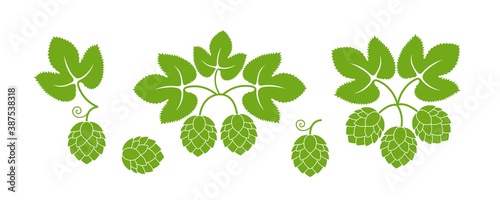 Hop logo. Isolated hop on white background. Branch 
