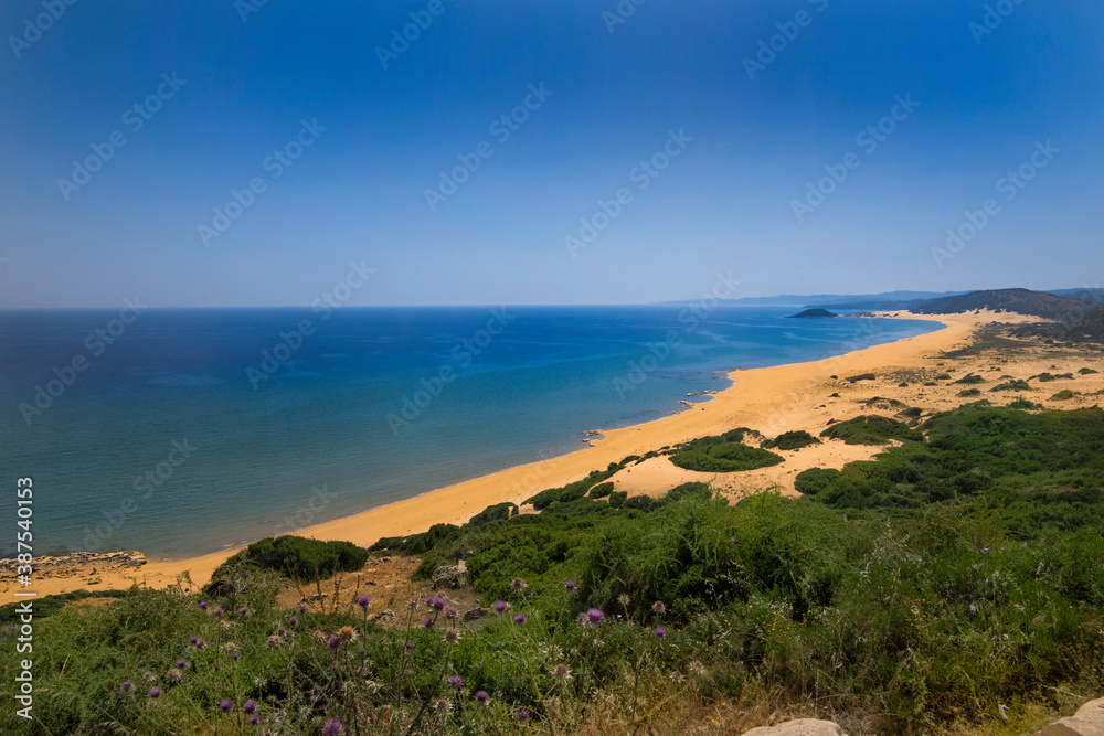 Golden Beach Karpasia Peninsula - North Cyprus higher wide angle view blue sea, golden sand and green plants on the dunes in summer
