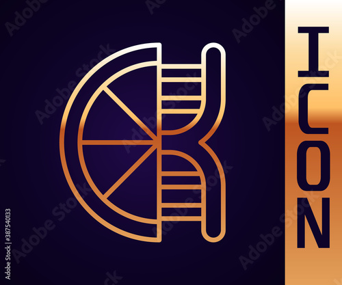 Gold line Genetically modified citrus fruit icon isolated on black background. Orange in a cut. Healthy lifestyle. GMO fruit. Vector.