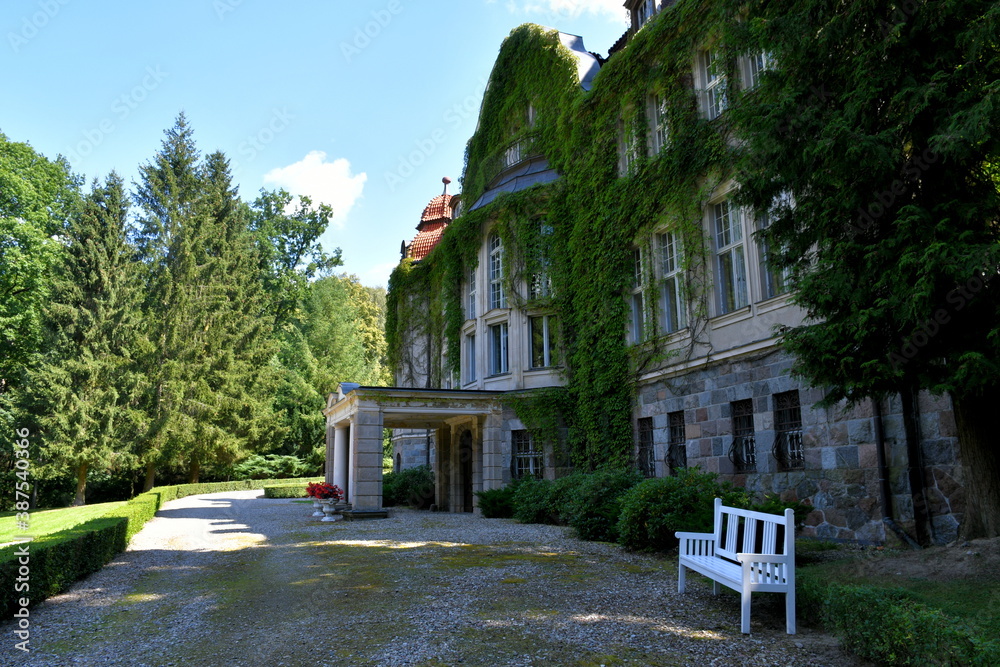 A view of an old abandoned mansion or villa covered with vines and with a small white bench standing nearby on the gravel road seen on a sunny summer day on a Polish countryside