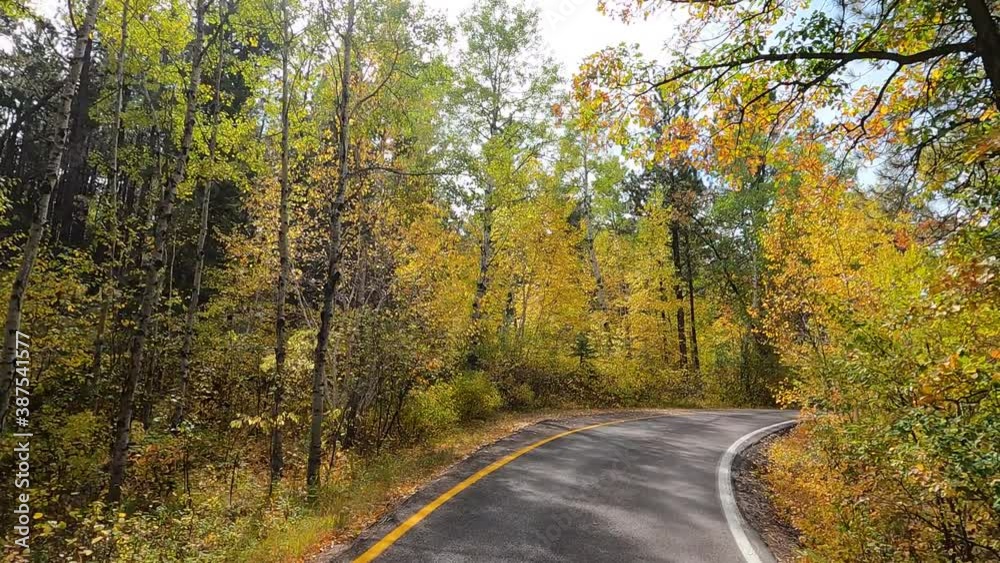 Fall Autumn colors scenic mountain road POV 4K. Black Hills of South Dakota. Mountain, valley, landscape scenic discovery. State Park with wildlife, lakes, campgrounds and picnic areas. Fall Autumn colors scenic mountain road POV 4K. Black Hills of South Dakota. Mountain, valley, landscape scenic discovery. State Park with wildlife, lakes, campgrounds and picnic areas.