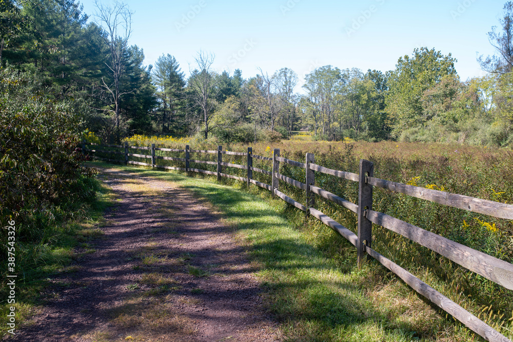 Idyllic rural scene on a dirt road with wooden fence, green grass and woodland countryside
