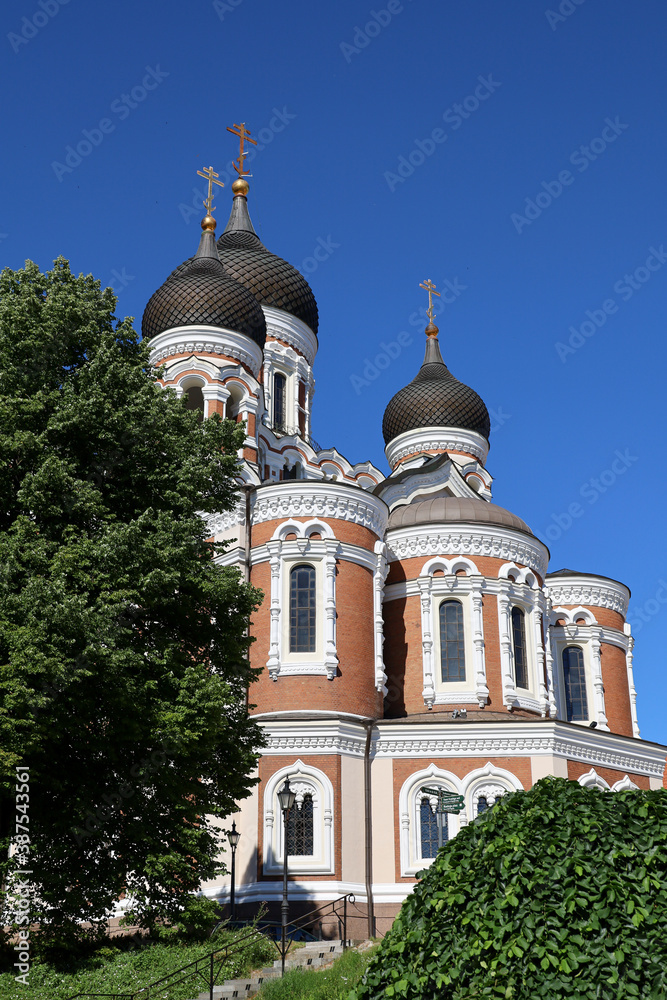 Tallinn's Orthodox Alexander Nevsky Cathedral overlooks the trees in summer