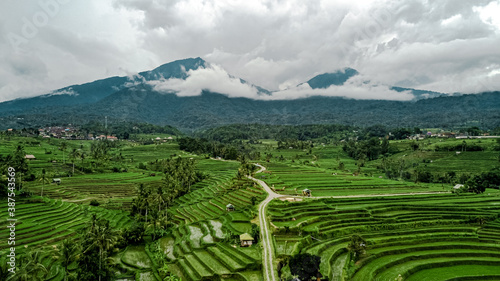 Jatiluwih Rice Terraces in the mountains, Bali, Indonesia