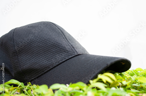 Black hat on green leaves Free space for text