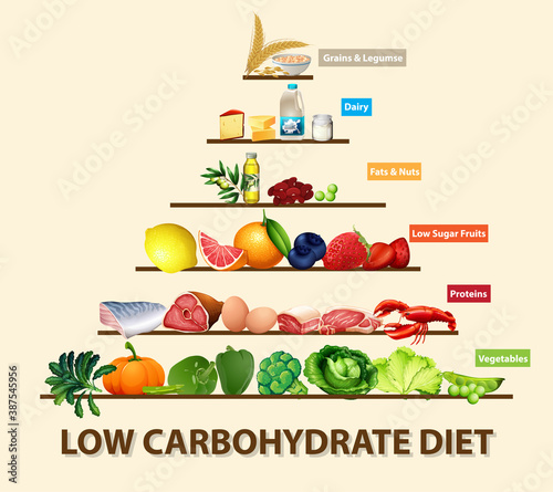 Low carbohydrate diet diagram