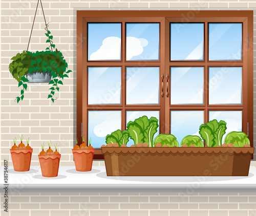 Vegetable plants with window background scene