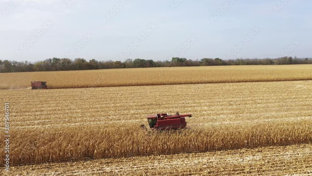 Two Combines harvesting corn aerial view. Two Combines harvesting corn aerial view.