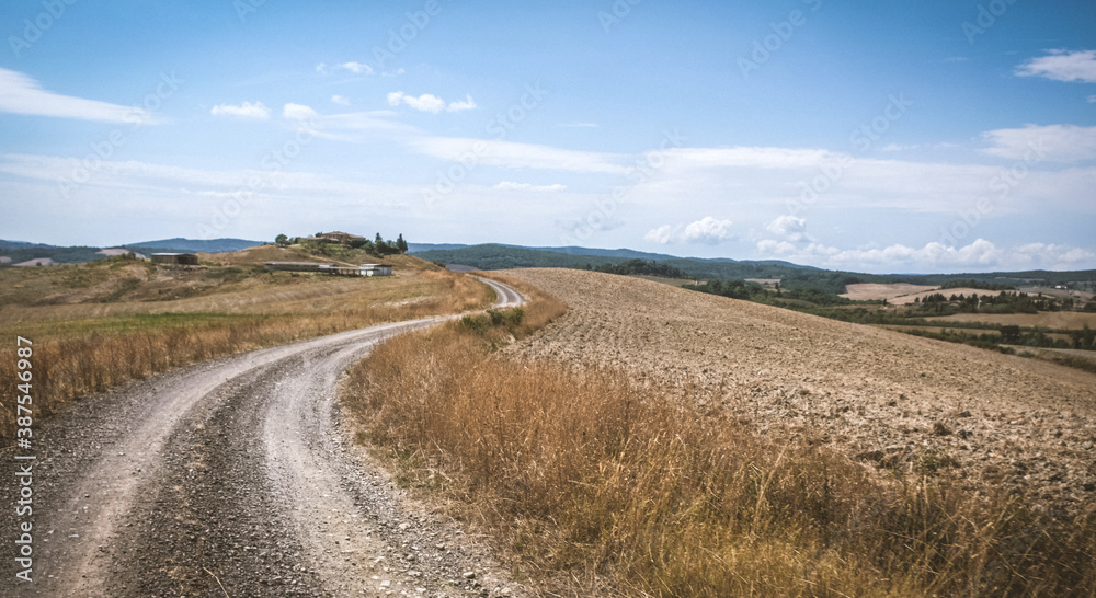 Dirt road in toscane in Italie through the fresh cut grain fields