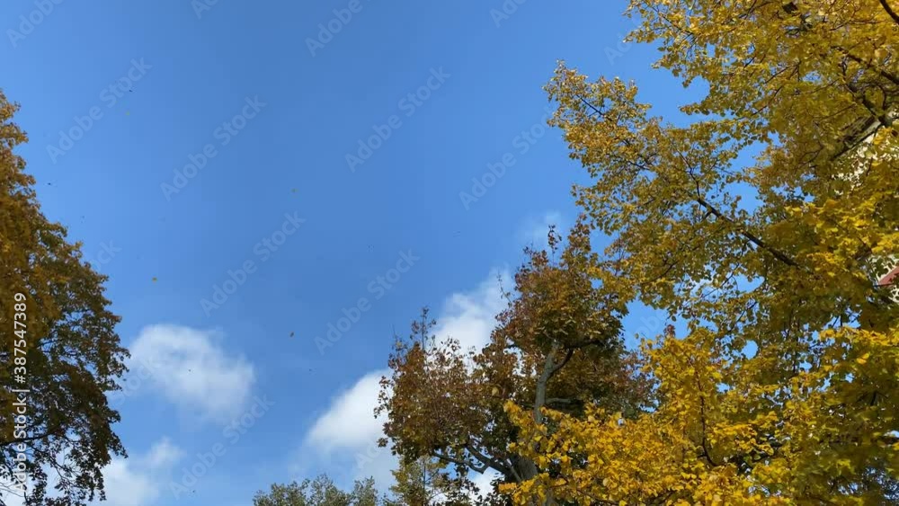 Herrliches Herbstwetter bei strahlendem Sonnenschein Herrliches Herbstwetter bei strahlendem Sonnenschein