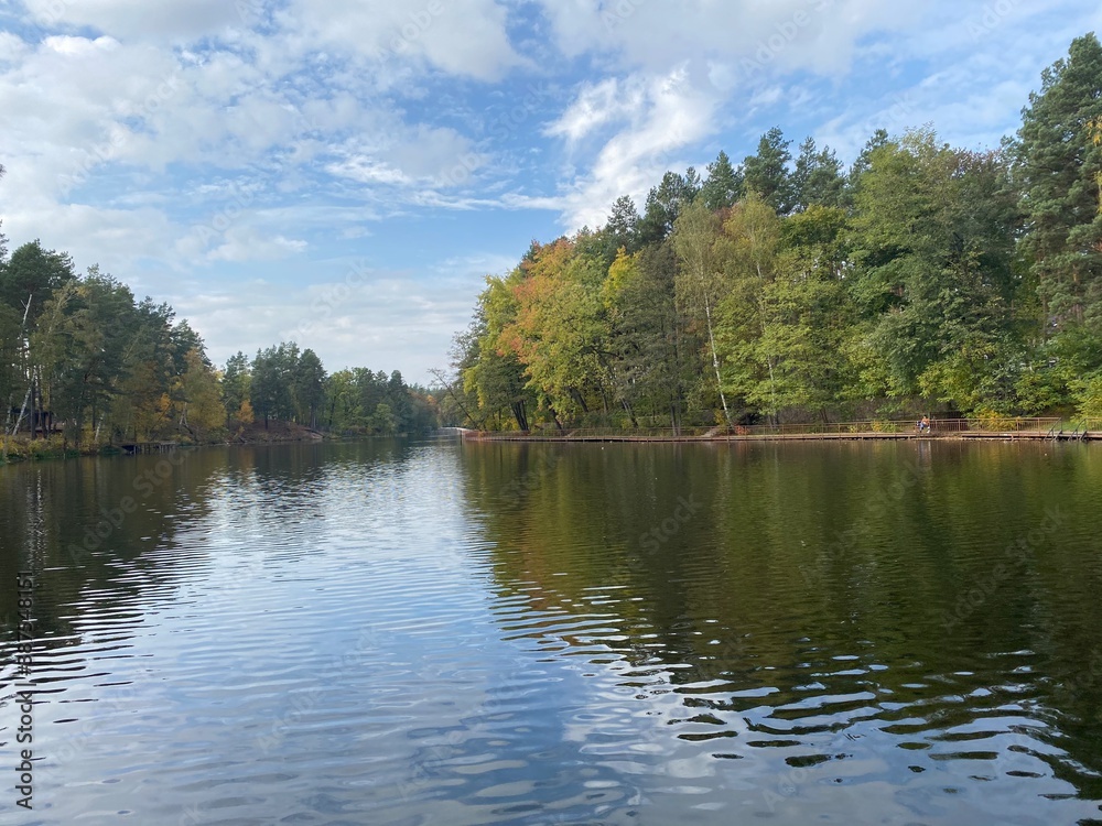 Naklejka premium lake and forest