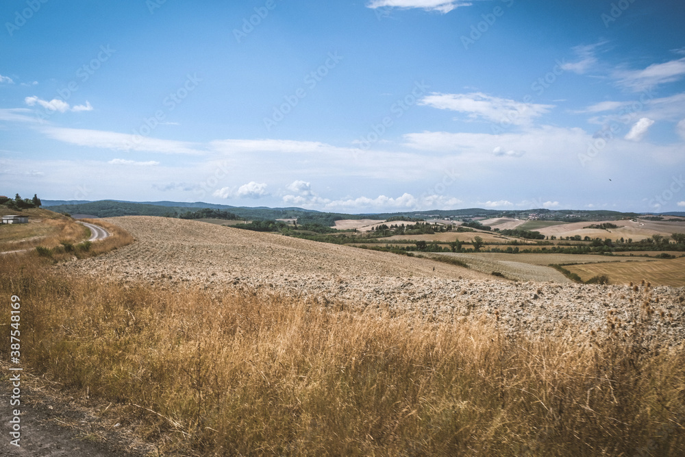 Landscape of dirt road and fields n toscane in Italie