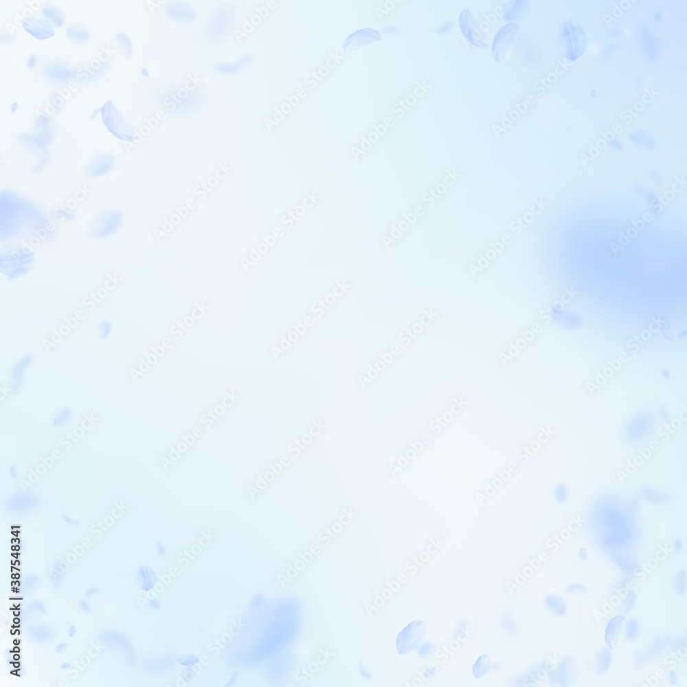 Light blue flower petals falling down. Unequaled r Light blue flower petals falling down. Unequaled r