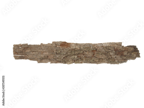 Piece of dry pine tree isolated on white background