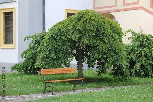 Cesky Krumlov, bench in a park