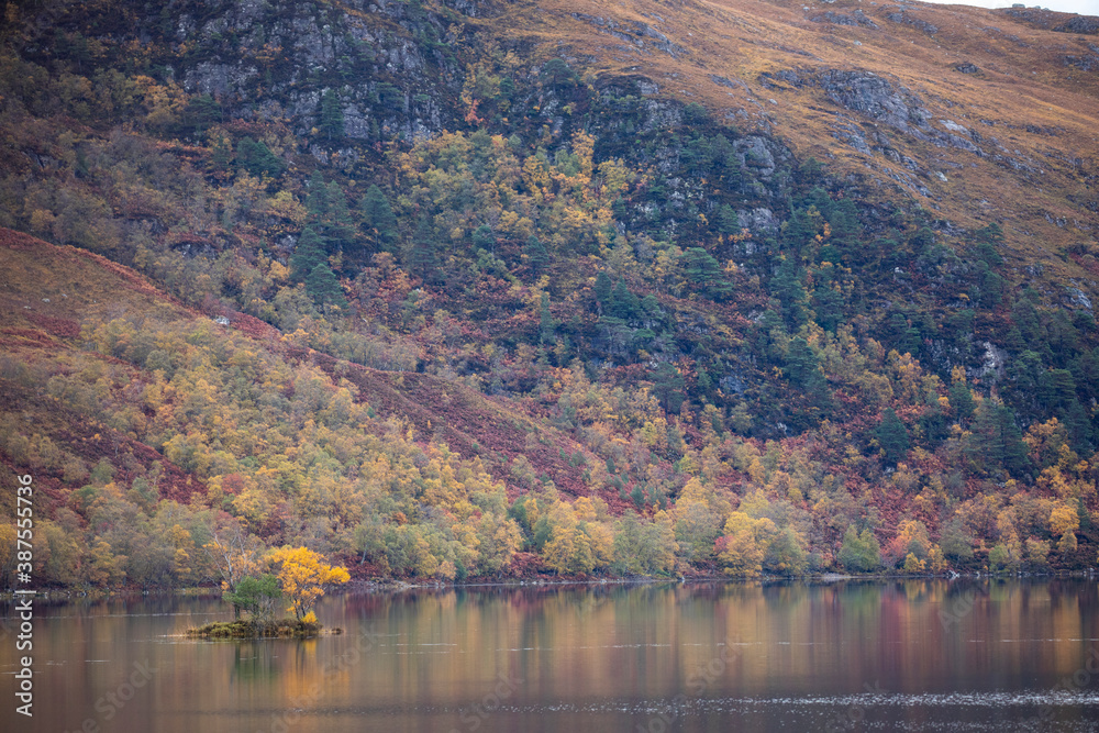 loch clair, torridon, reflection of the surrounding pine trees in autumn foliage.