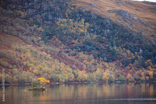 Obraz na płótnie loch clair, torridon, reflection of the surrounding pine trees in autumn foliage. w salonie